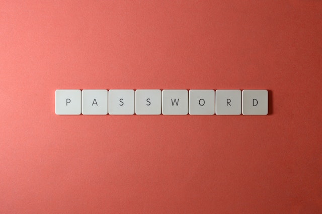 Protect Your Password Manager